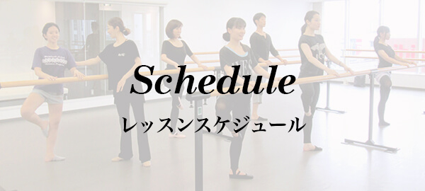 スケジュールイメージ