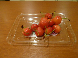 P1040734.JPG