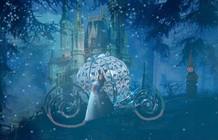 cinderella-4496559_1280.jpg