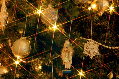 oh-christmas-tree-1381996-639x424.jpg