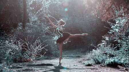 ballet-pose-1725207_1280.jpg