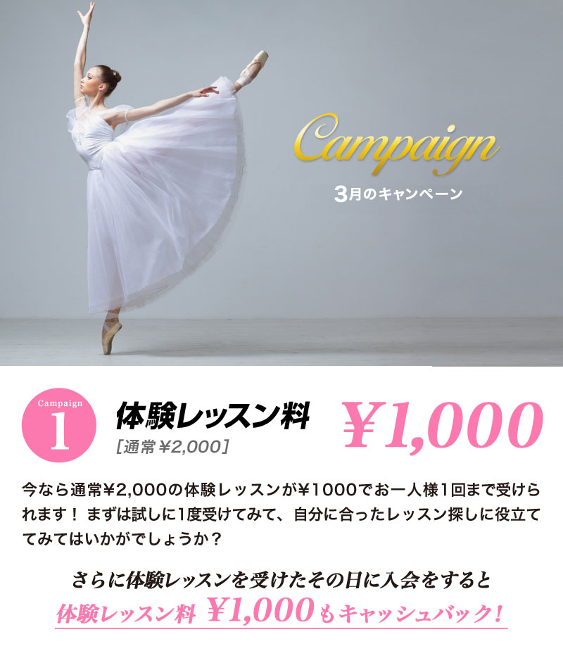 21.3_campaign_ballet1.jpg